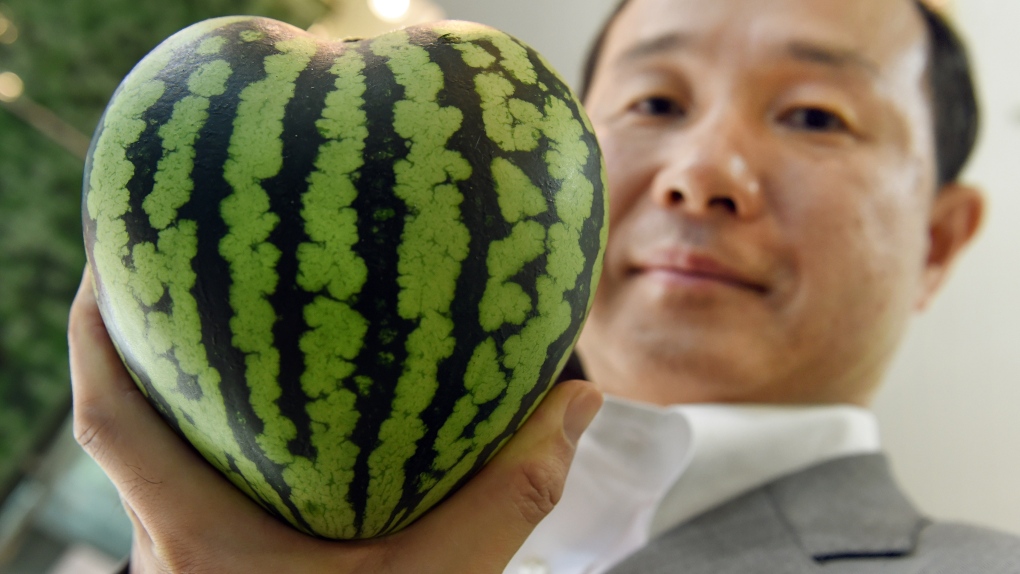 Heart-shaped watermelon