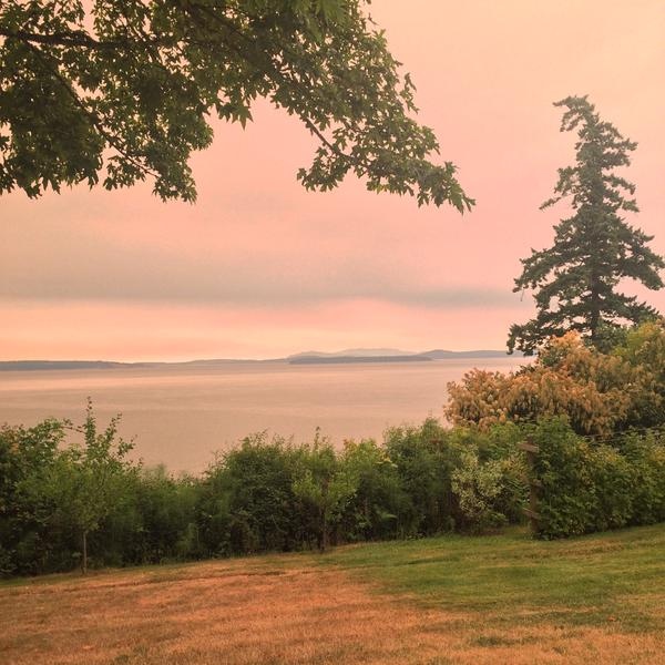 British Columbians wake up to eerie skies, orange glowing sun | CTV News