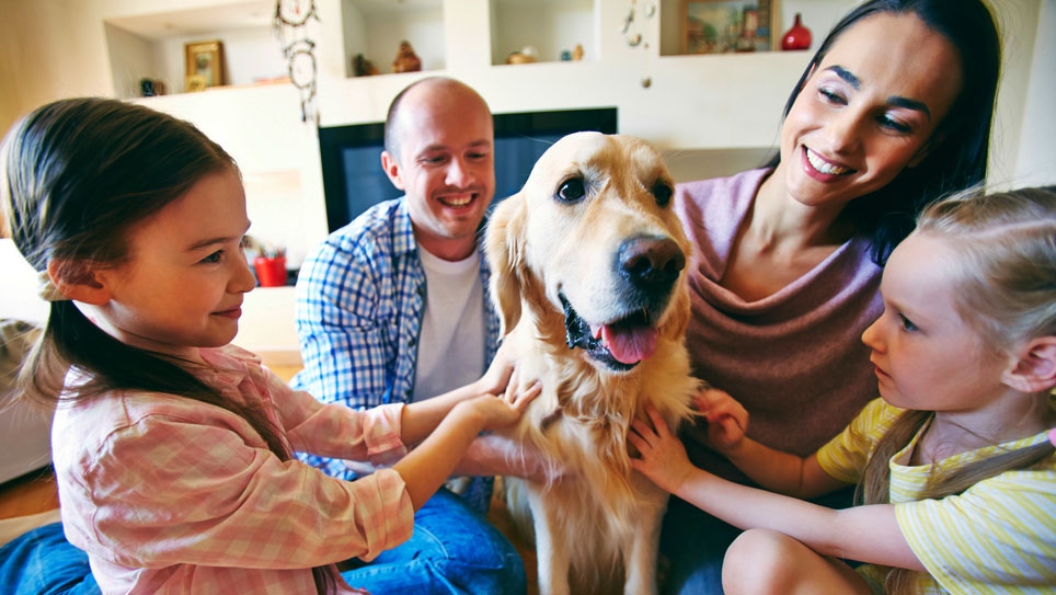 5 ways pets can benefit your health
