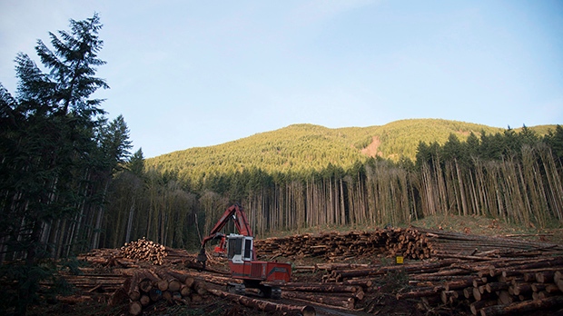 Forestry in B.C.