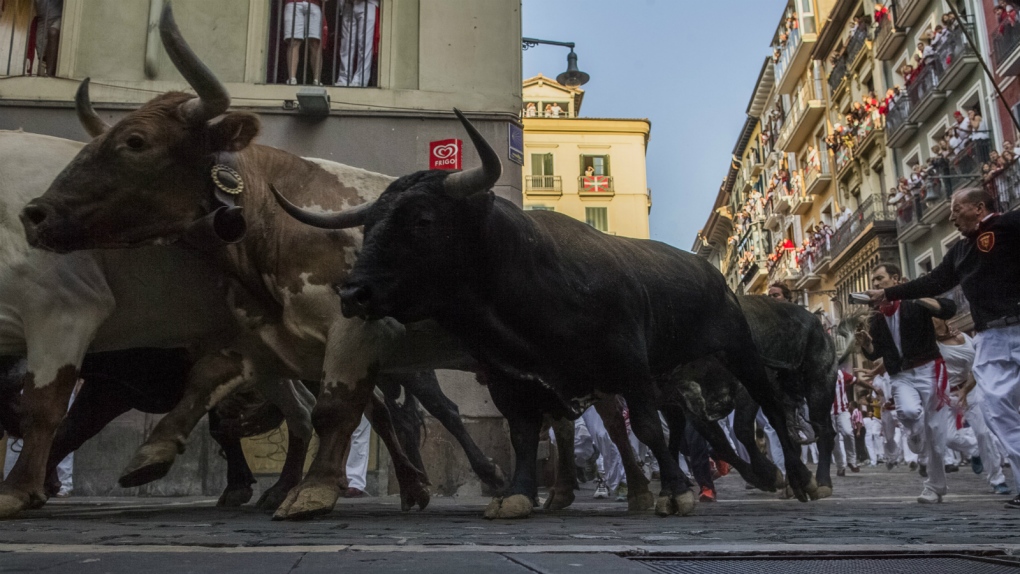 Man dies after being gored by bulls