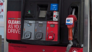 A gas pump is seen at a Petro-Canada in Regina, Saskatchewan, on Tuesday, May 19, 2015. (THE CANADIAN PRESS/Michael Bell)