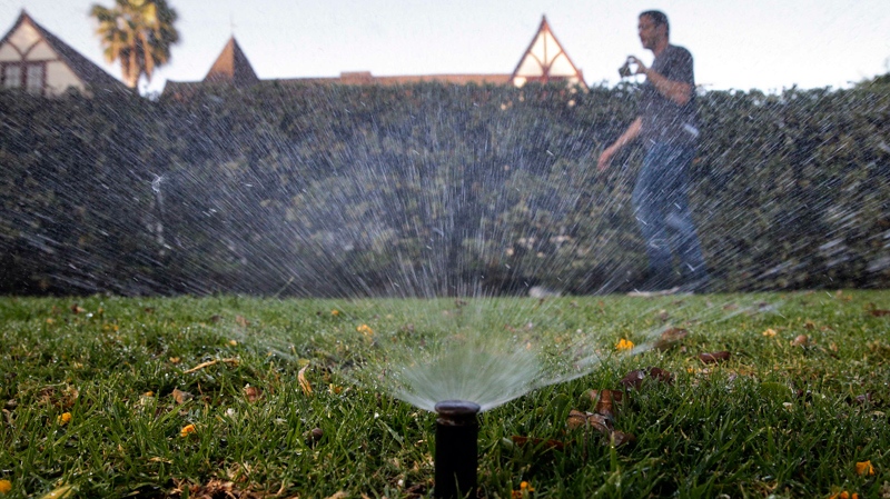 sprinklers watering the lawn