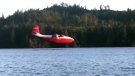The Martin Mars water bomber doused a wildfire that broke out near Lake Cowichan Tuesday, July 28, 2015. (Twitter)