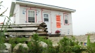 Cheryl Smith's tiny home sits empty near Clark's Harbour, N.S.