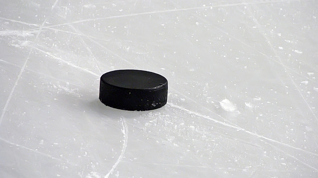 Hockey puck