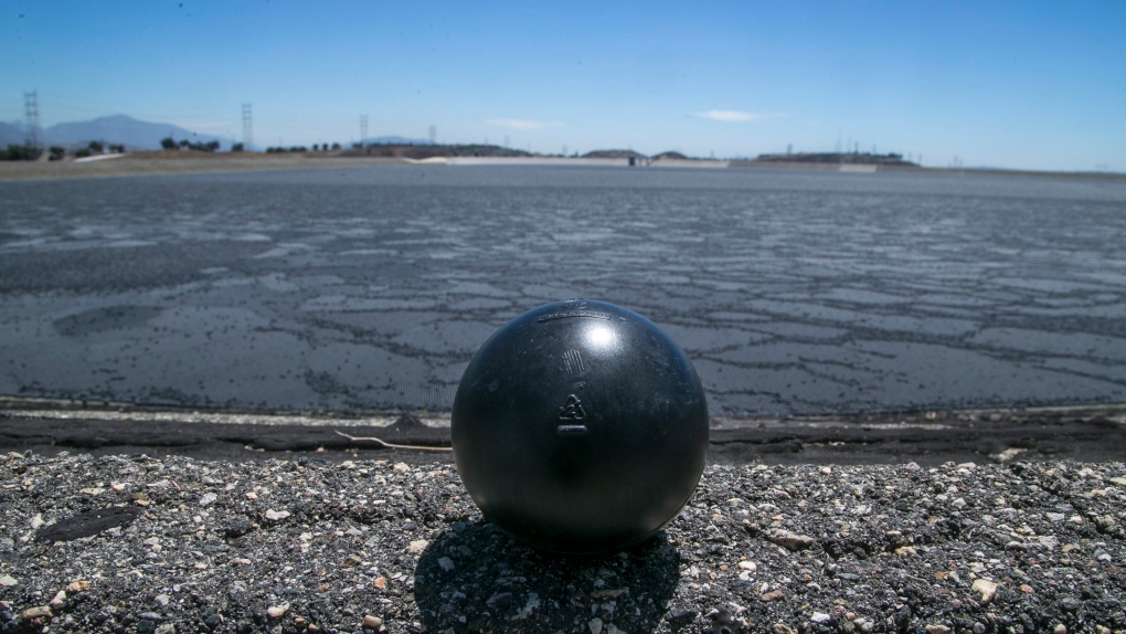 Shade ball in Los Angeles Reservoir