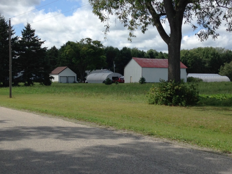 The Norfolk County farm where two Mennonite children worked until they were fired for taking a day off for a religious holiday is pictured on Thursday, Aug. 20, 2015. (Max Wark / CTV Kitchener)