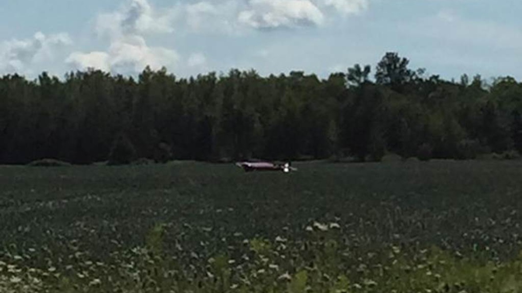 Single-person plane crashed into field in Grimsby
