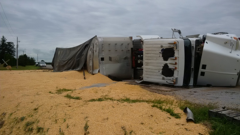 A transport truck flipped and a load of corn spilled on Centre Side Road at Gregory Line in Chatham, Ont., on Tuesday, Aug.25, 2015. (Courtesy Municipality of Chatham-Kent) 