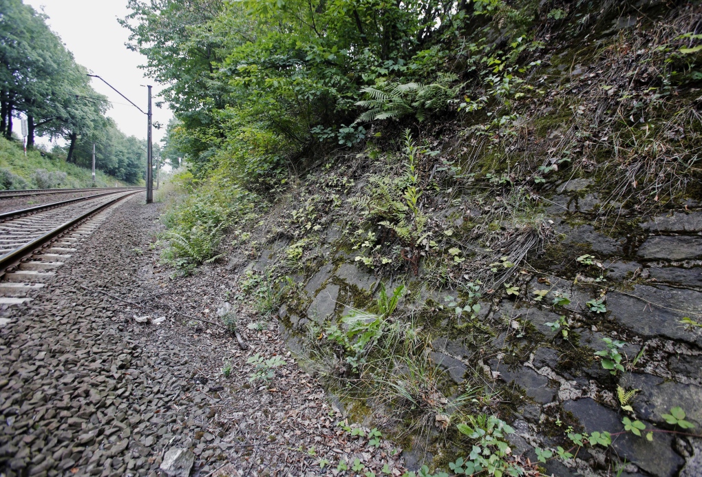 possible site of hidden Nazi train