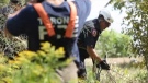 Scarborough Bluffs firefighters rescue