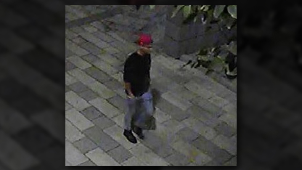 Police looking for assault suspect