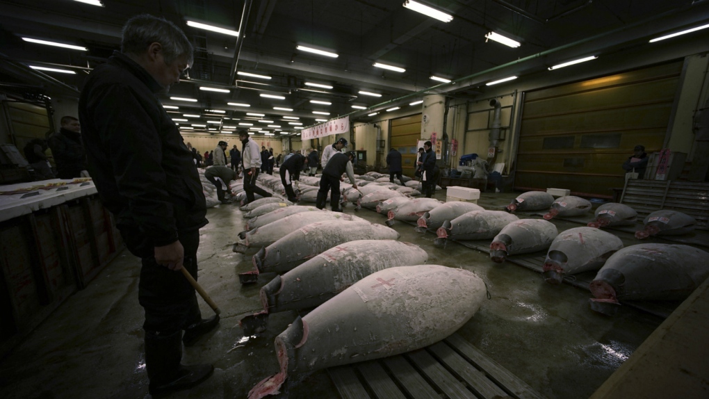 Bluefin tuna auction in Japan