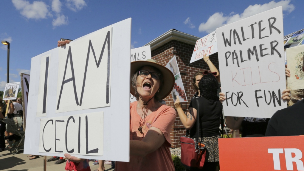 Protesters outside Walter Palmer's office