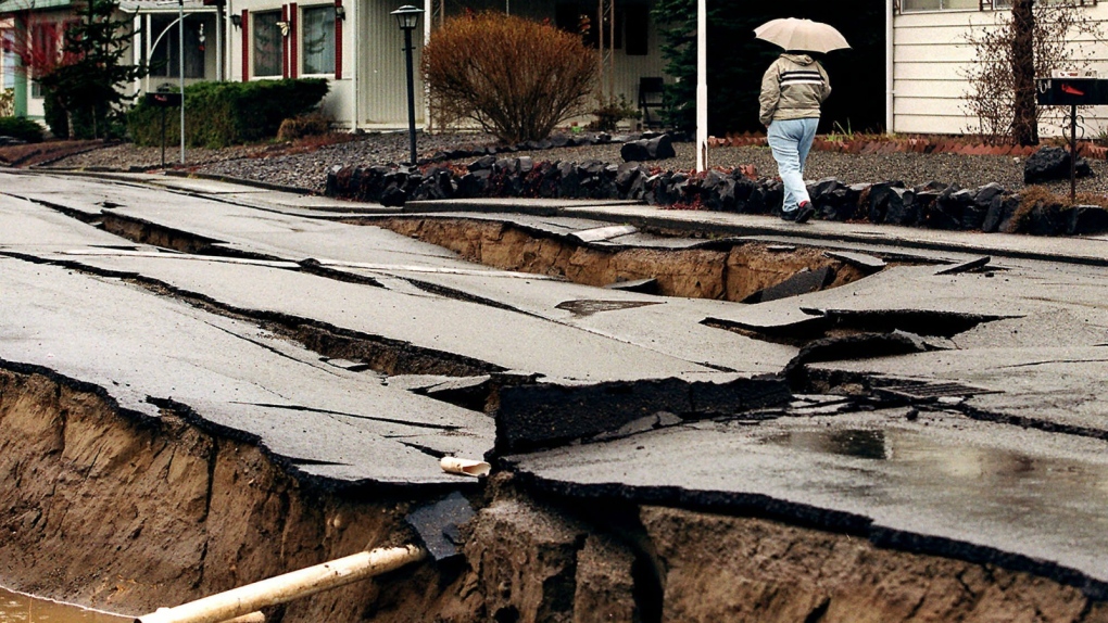 Earthquake alert system developing in USA