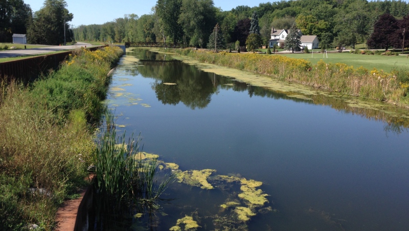The Holland Marsh Canal can be seen on Tuesday, Sept. 15, 2015. (KC Colby/ CTV Barrie)