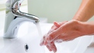 The FDA said there is not enough proof that antibacterial ingredients are more effective than washing your hands with water and plain soap. (Subbotina Anna/shutterstock.com)
