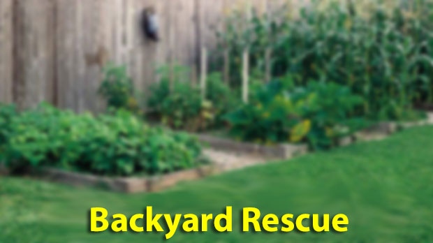 Backyard Rescue