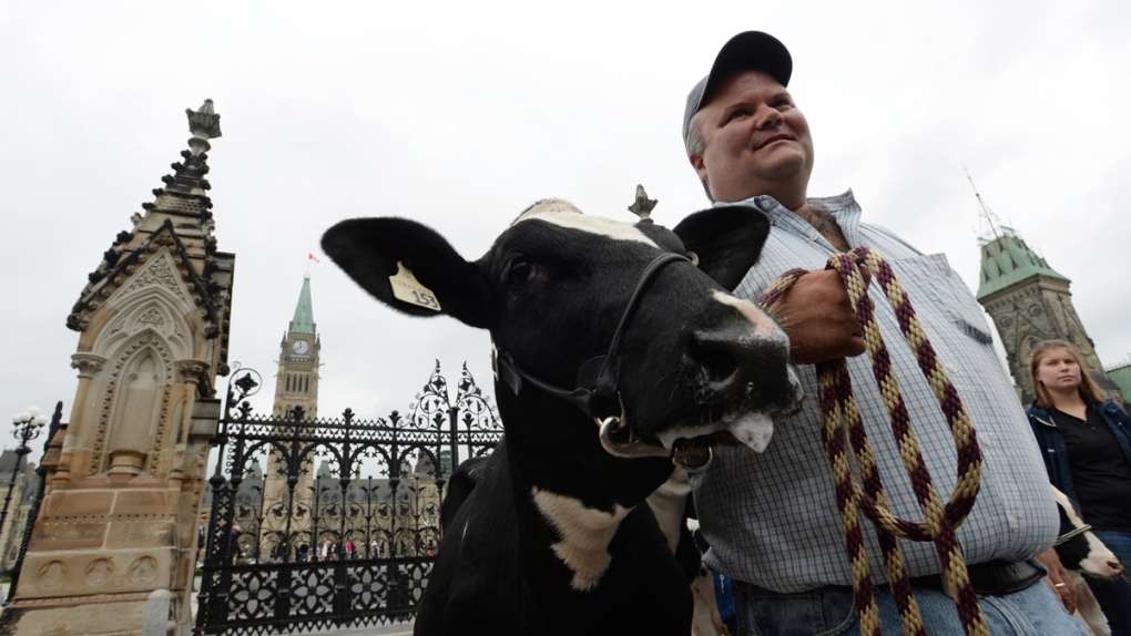Dairy farmers protest on Parliament Hill