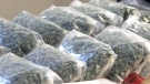 Bags of fentanyl pills are pictured.