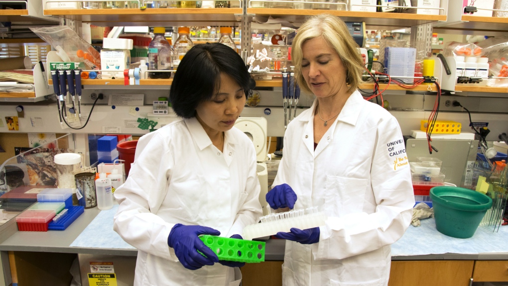 Researchers of gene editing