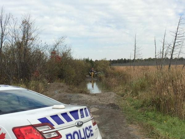 Vehicle in swampland after crash 