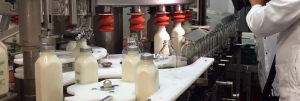 B.C. farm produces province’s first traceable milk
