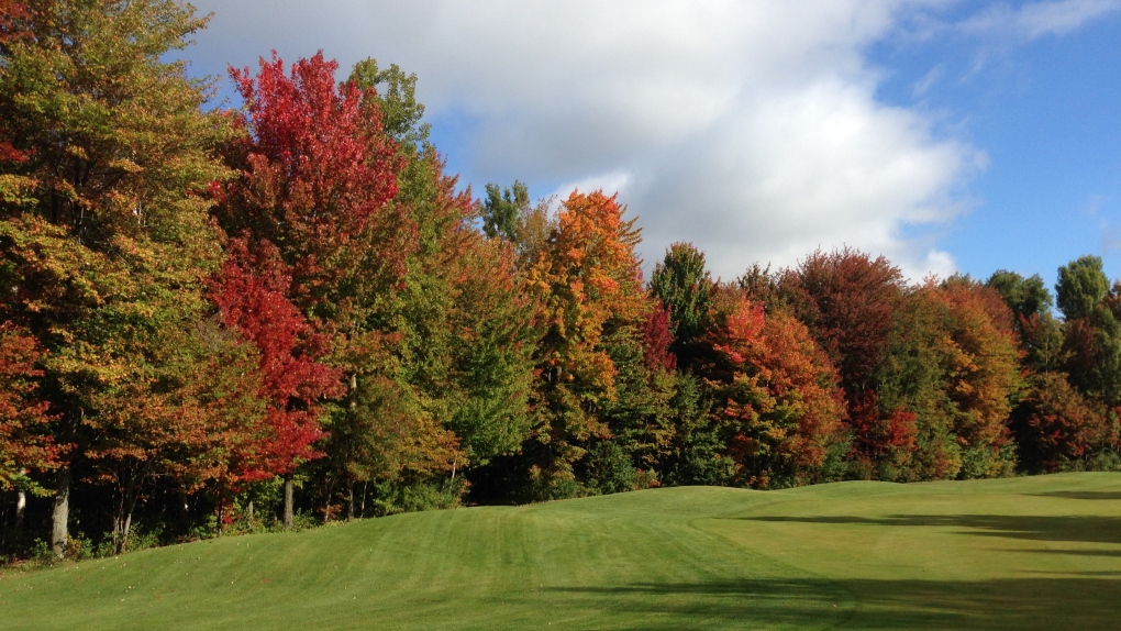 CTV Ottawa: Fall Colours