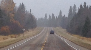 Highway 10 in Riding Mountain National Park falls within the Dauphin-Swan River-Neepawa riding.