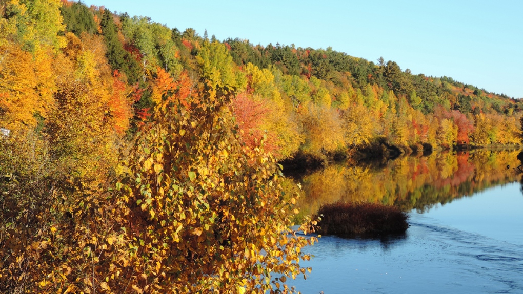 Fall colours across Canada