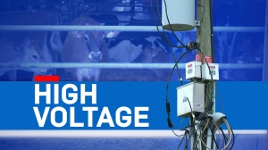 CTV Investigates: High Voltage