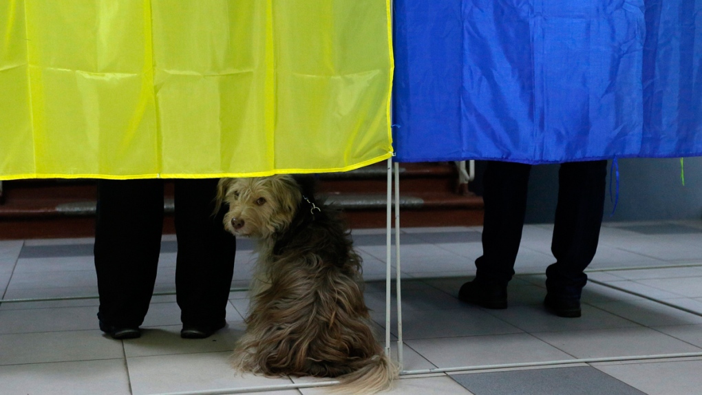 Ukrainians mark their ballots in Kyiv