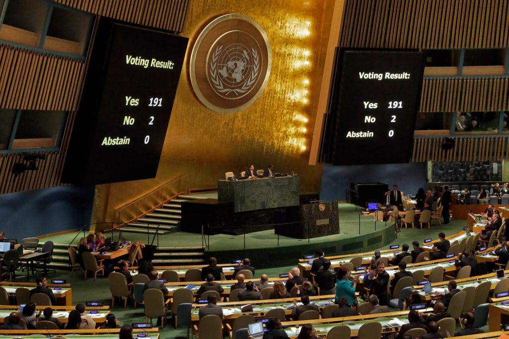 delegtates at UN vote