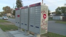 Windsor Mailboxes