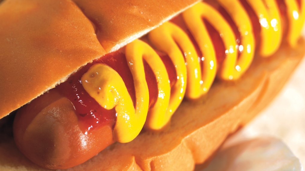 A hot dog dressed with ketchup and mustard