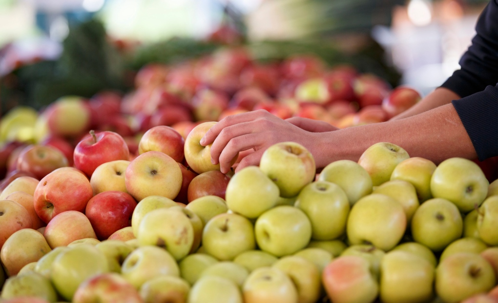 Apples, farmer's market, fruit stand