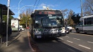 A BC Transit bus is pictured in Victoria. (CTV News)