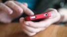 A person uses their smartphone in this file photo. (D. Hammonds/shutterstock.com)