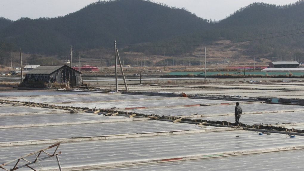 Salt farm in South Korea