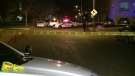 CTV Ottawa: City's 7th homicide 