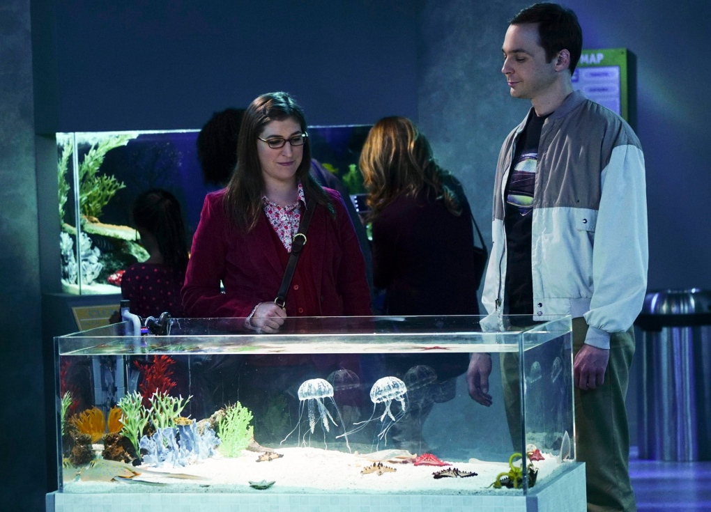 Amy and Sheldon in the 'Big Bang Theory'