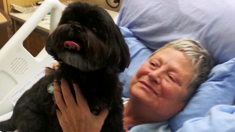 Unique program allows patients' pets to visit them in hospital CTV News