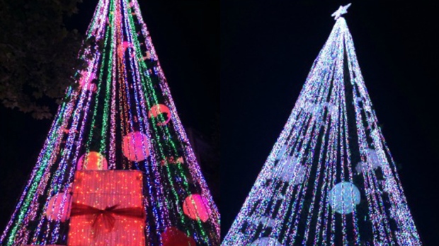 Australian Christmas tree sets world record with 518,838 lights | CTV News