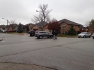 Windsor police surround a house on Clover Avenue in Windsor, Ont., on Tuesday, Dec. 1, 2015. (Angelo Aversa / CTV Windsor)