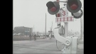 Pedestrians cross train tracks where a cyclist was struck by a train on the weekend in London, Ont. on Monday, Dec. 7, 2015. (Sean Irvine / CTV London)
