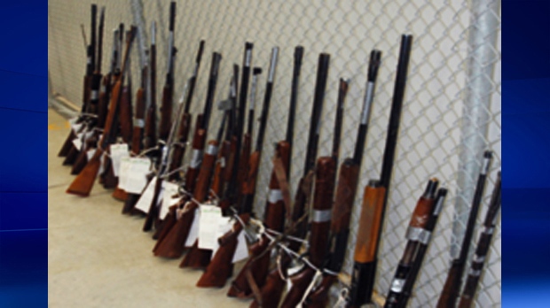 2015 weapons amnesty