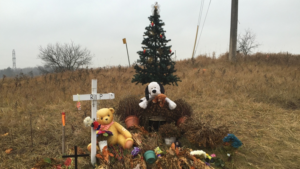 Christmas tree at Neville-Lake crash site