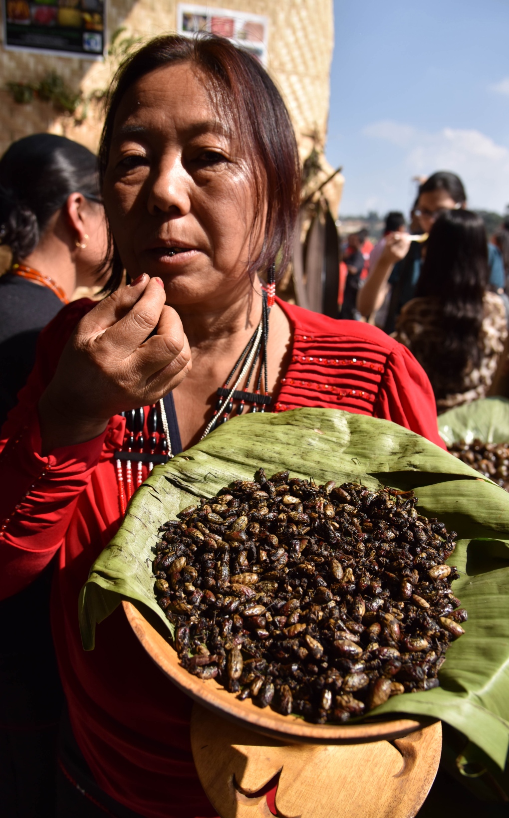 Indigenous Naga woman eats spiders