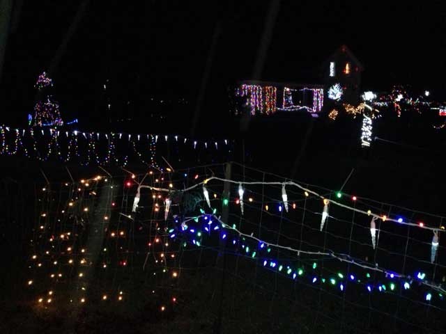 Wingham Christmas lights